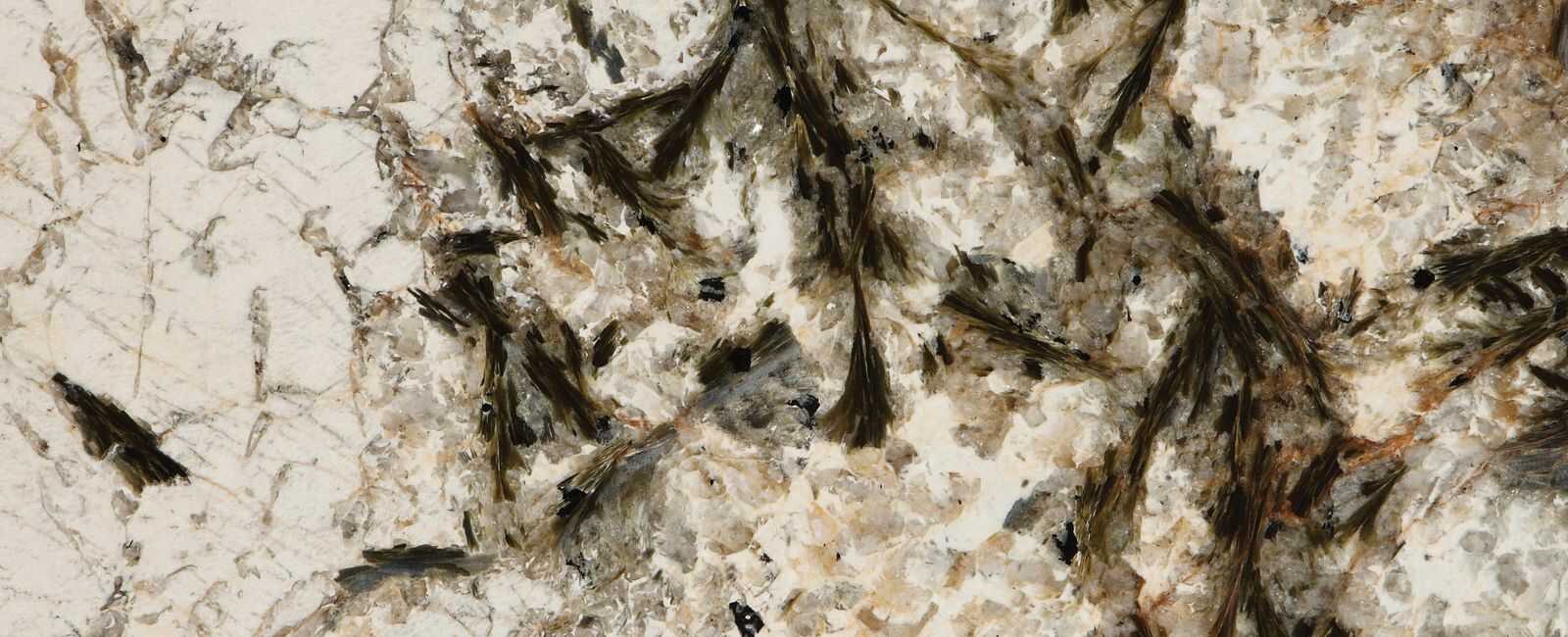 alpine-dt1_optimized