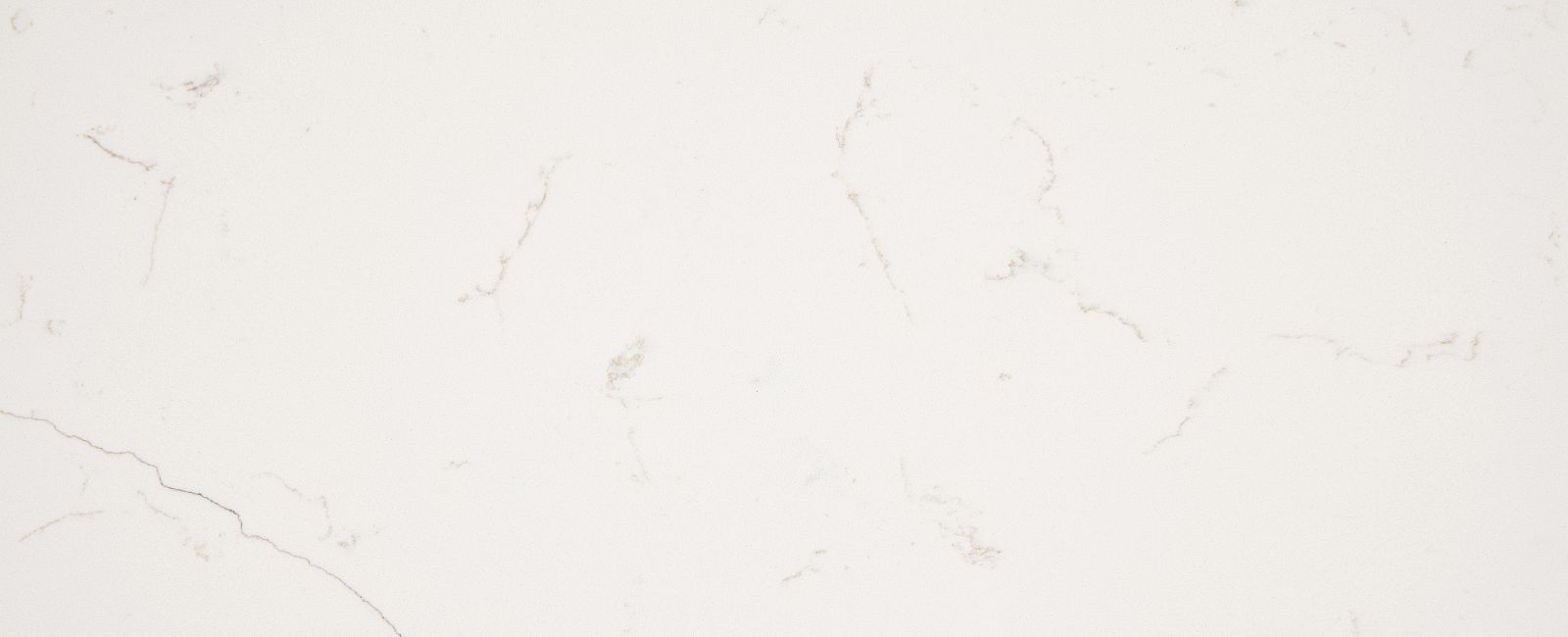 New Venatino Beige DT