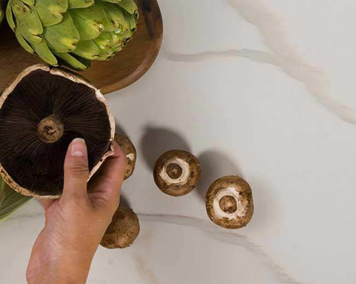 quartz countertops visualizer