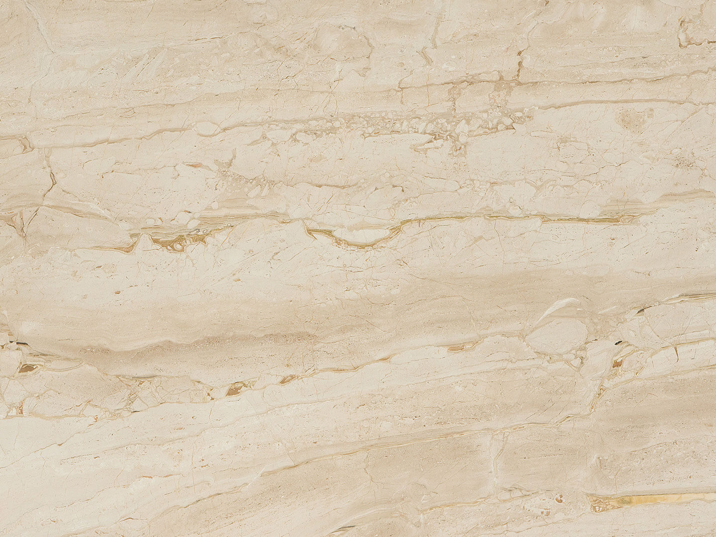 Breccia Sarda